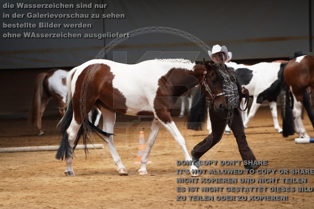 s_A_900414.JPG